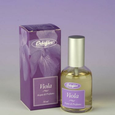 Viola