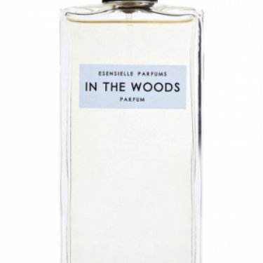 In the Woods