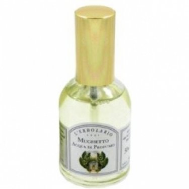 Mughetto / Lilly of the Valley