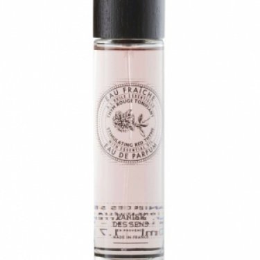 Thym Rouge Tonifiant / Stimulating Red Thyme