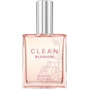 Blossom