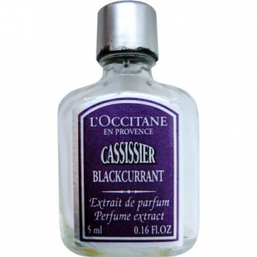 Cassissier