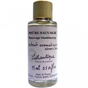 Mûre Sauvage / Sauvage Blackbery