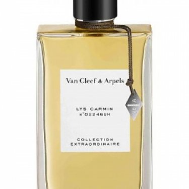 Collection Extraordinaire: Lys Carmin