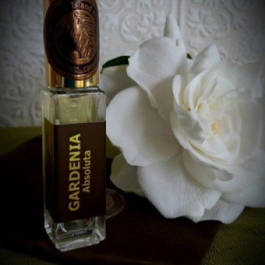 Gardenia Absoluta
