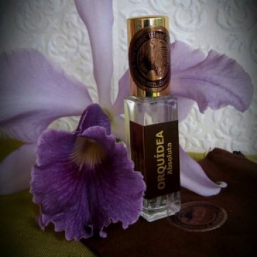 Orchídea Absoluta