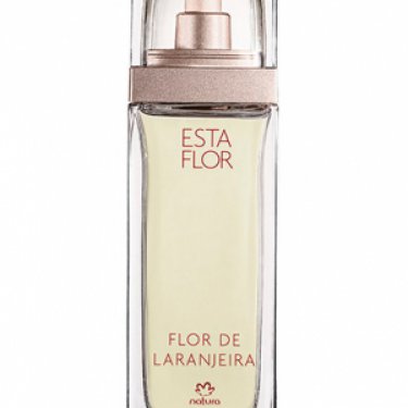 Esta Flor Flor de Laranjeira