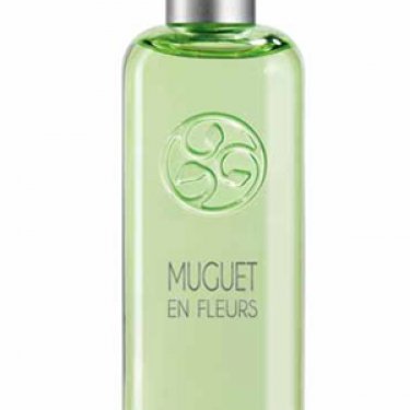Muguet en Fleurs / Lilly of the Valley
