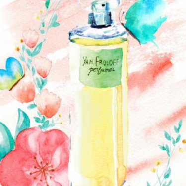 Caraibes après la Tempete