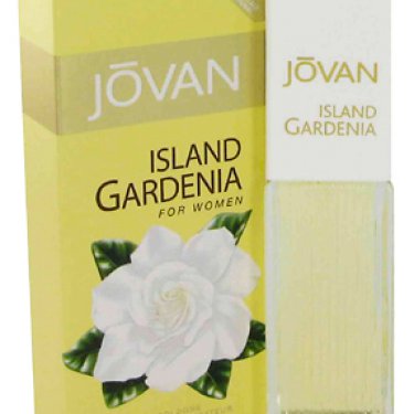 Island Gardenia
