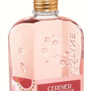 Cerisier Princesse / Cherry Princess