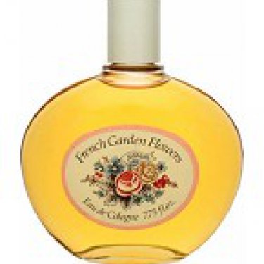 French Garden Flowers: Jasmine