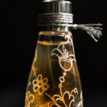 Gift of The Sun / Дар Солнца