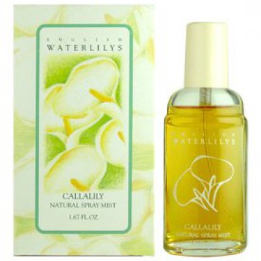 English Waterlilys - Callalily