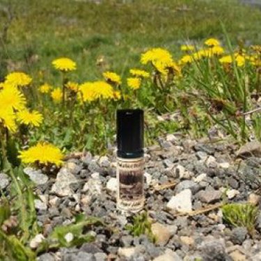 Hidden Lodge (Perfume)