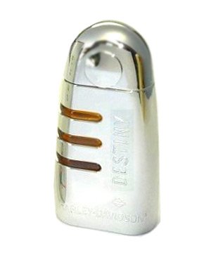 Destiny Man / His Destiny (Eau de Toilette)