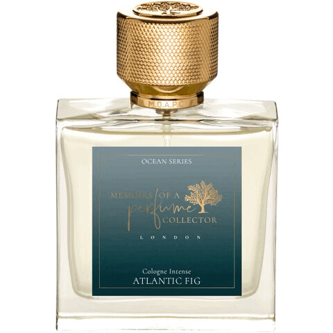 Atlantic Fig