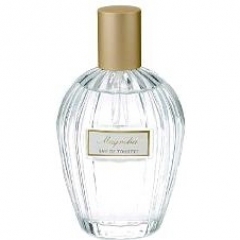 Floral Collection: Magnolia / Magnolia Liliiflora