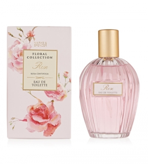 Floral Collection: Rose / Rosa Centifolia