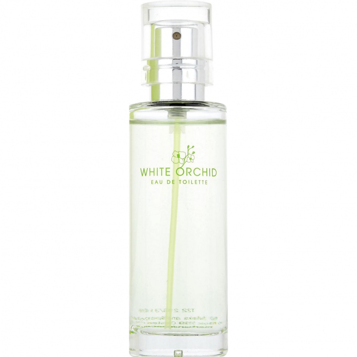 Per Una White Orchid