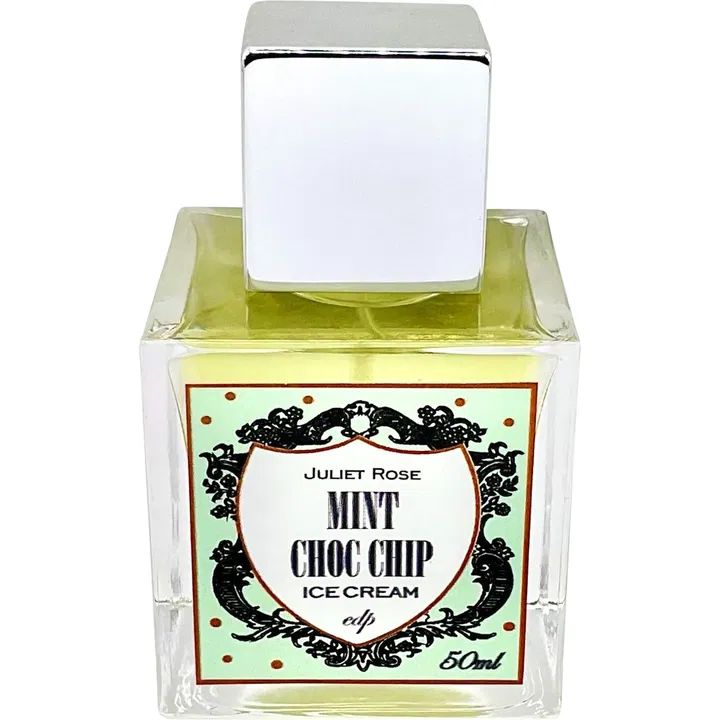 Mint Choc Chip Ice Cream