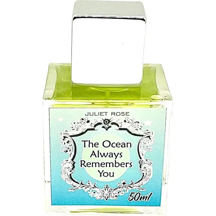The Ocean Always Remembers You