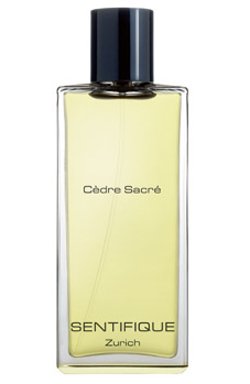 Cèdre Sacré