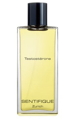 Testostérone
