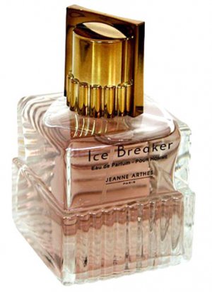 Ice Breaker pour Homme