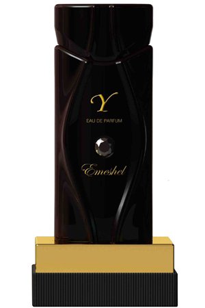 Y