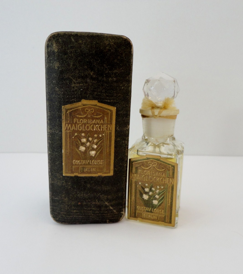 Floridana Maiglöckchen