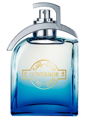 Governor