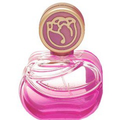 Braccialini (Eau de Toilette)