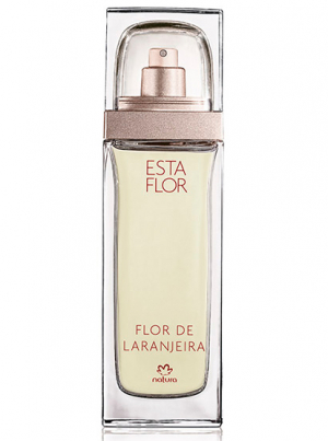 Esta Flor Flor de Laranjeira