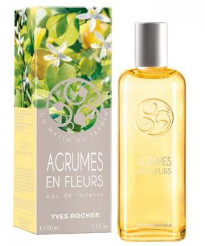 Agrumes en Fleurs / Citrus Flower