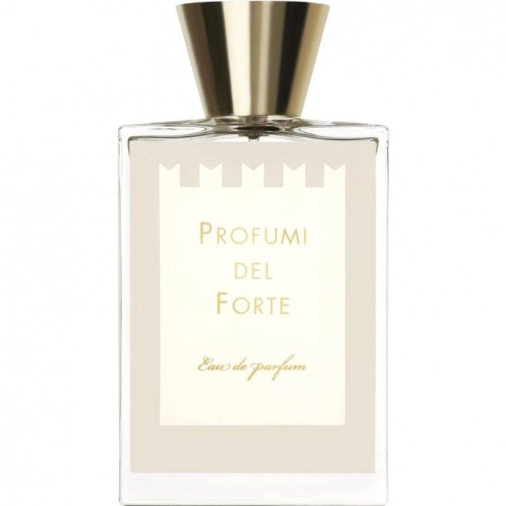 Vetiver Moderno
