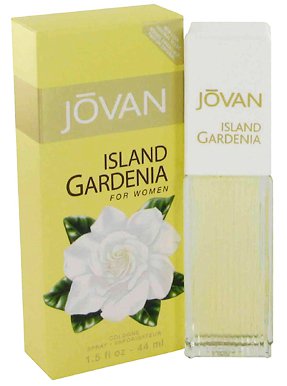 Island Gardenia