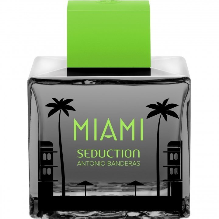 Miami Seduction in Black