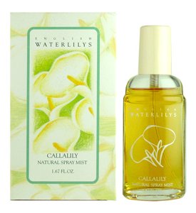 English Waterlilys - Callalily